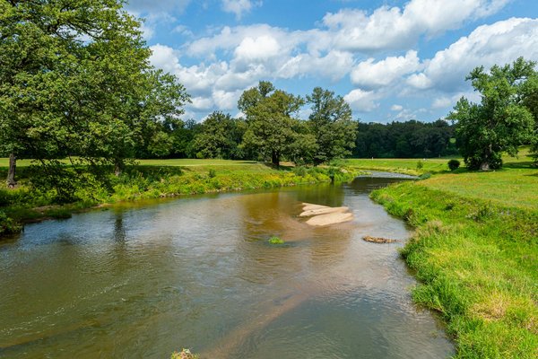 Paracétamol : 5 raisons de l'utiliser pour soulager la douleur