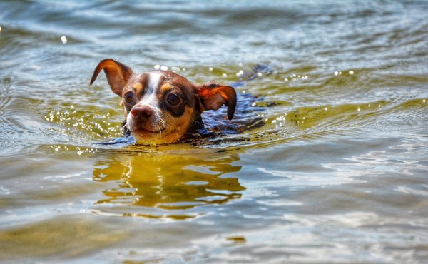 Comment débuter la course à pied en toute sécurité ?