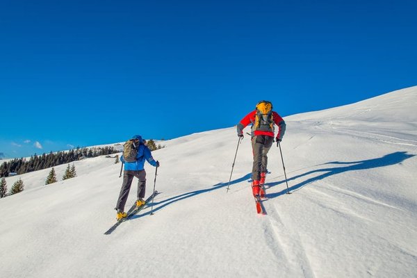 Les bienfaits de la randonnée en montagne pour la santé cardiovasculaire et la minceur ?